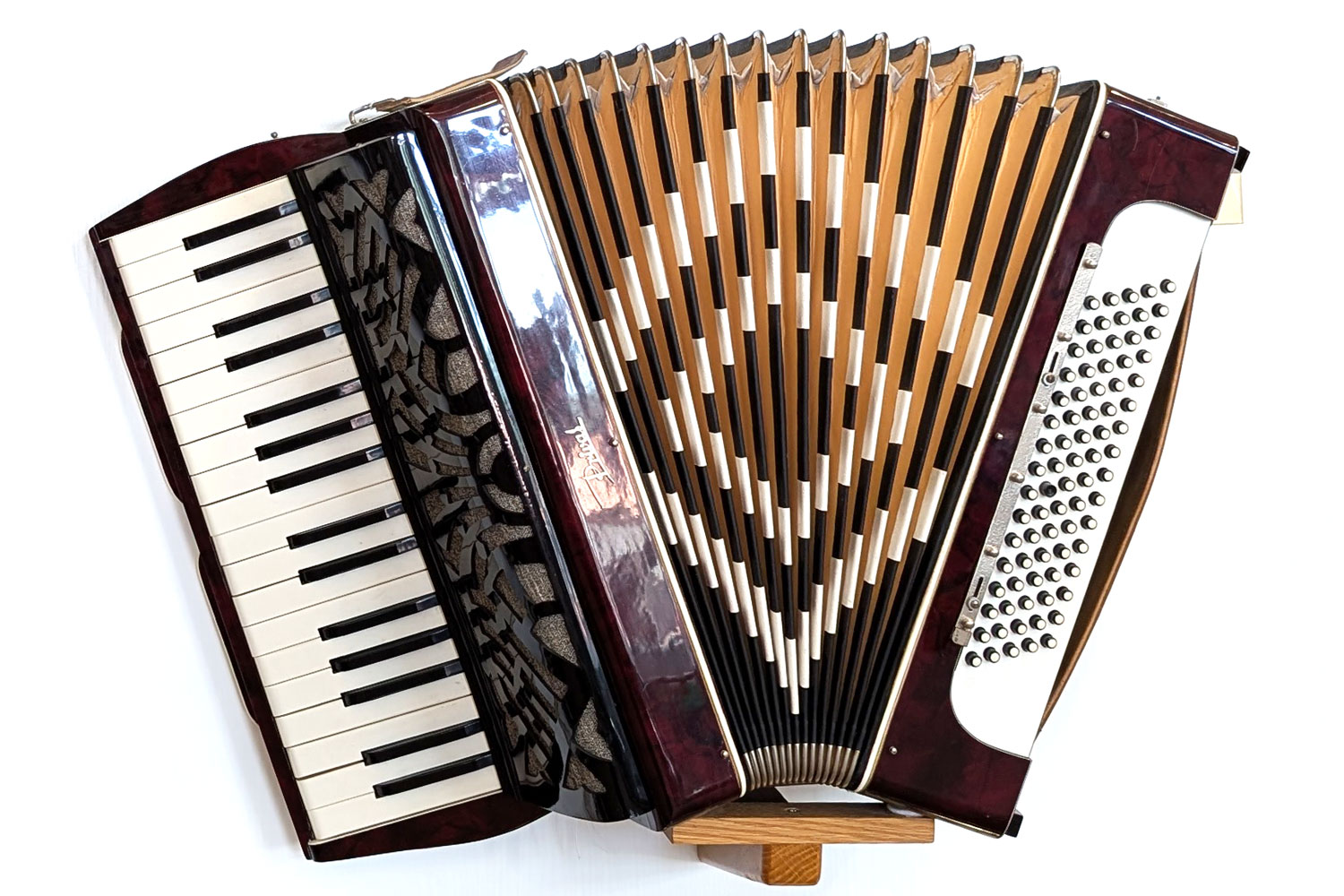 Das Bild zeigt ein halb auseinandergezogenes Akkordeon vor weißem Hintergrund